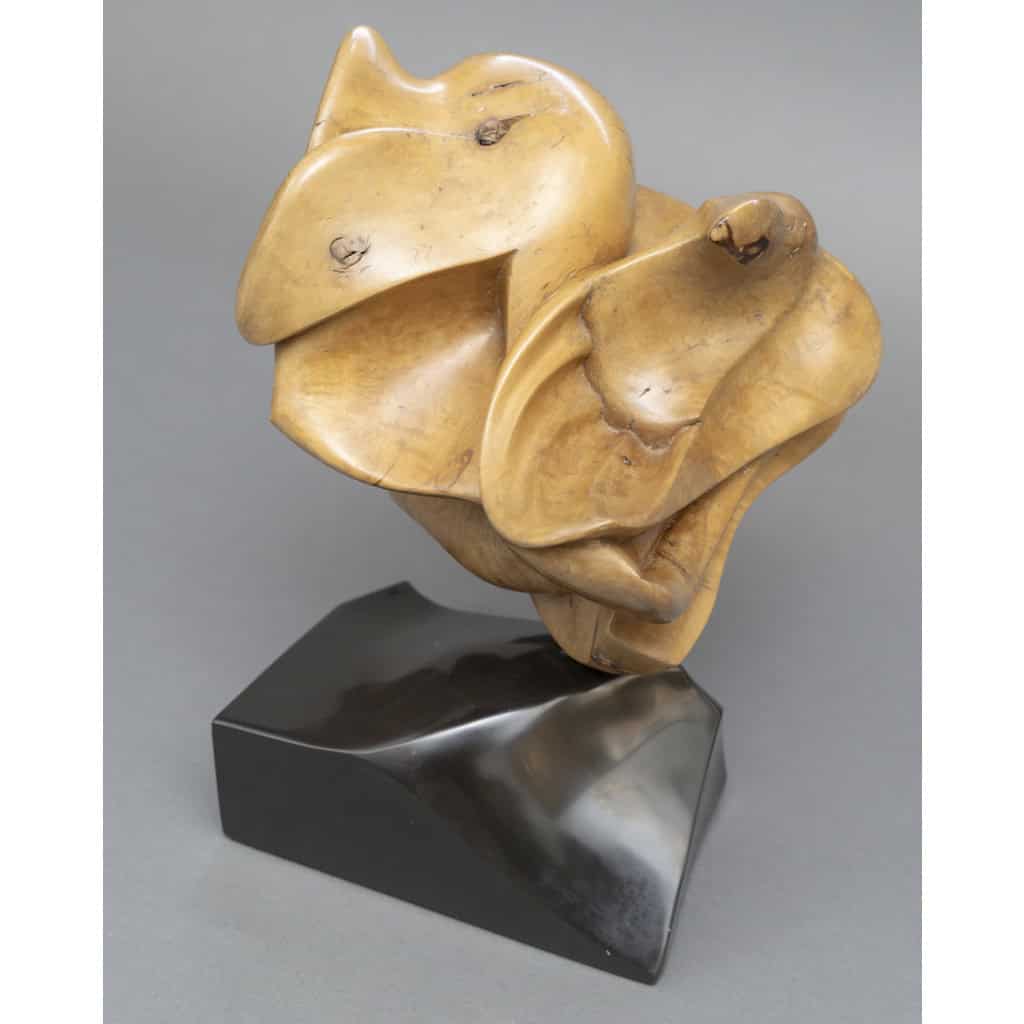 Sculpture Abstraite en Bois- Bernard Grassias 8