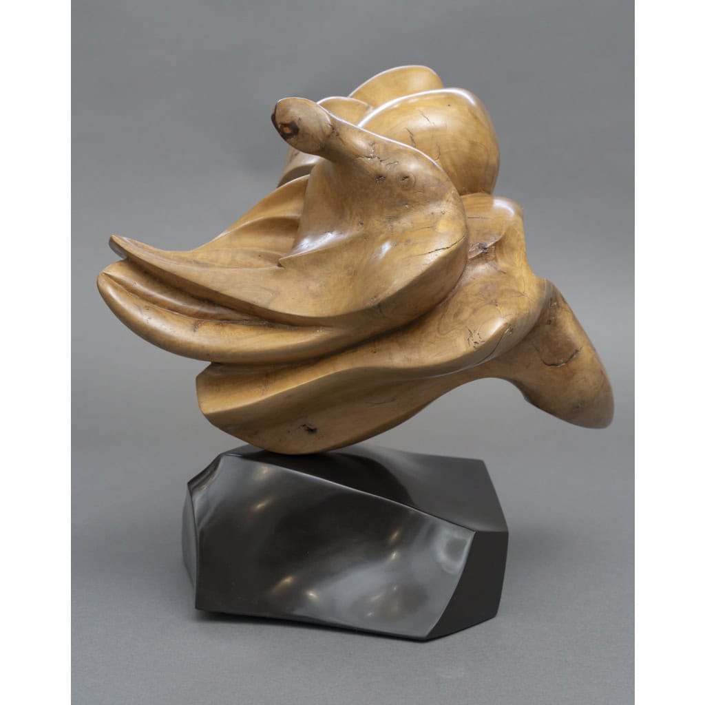 Sculpture Abstraite en Bois- Bernard Grassias 12