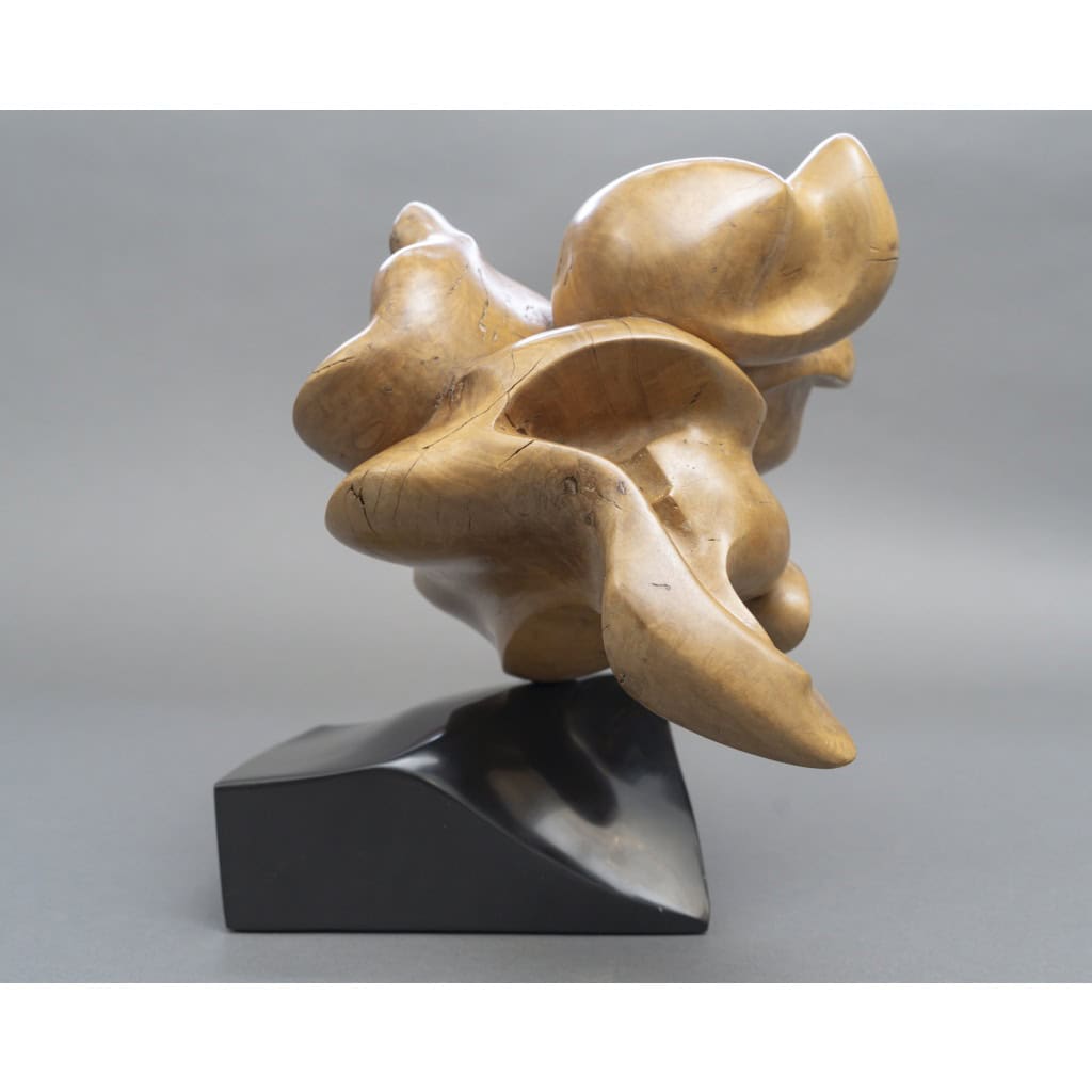 Sculpture Abstraite en Bois- Bernard Grassias 16