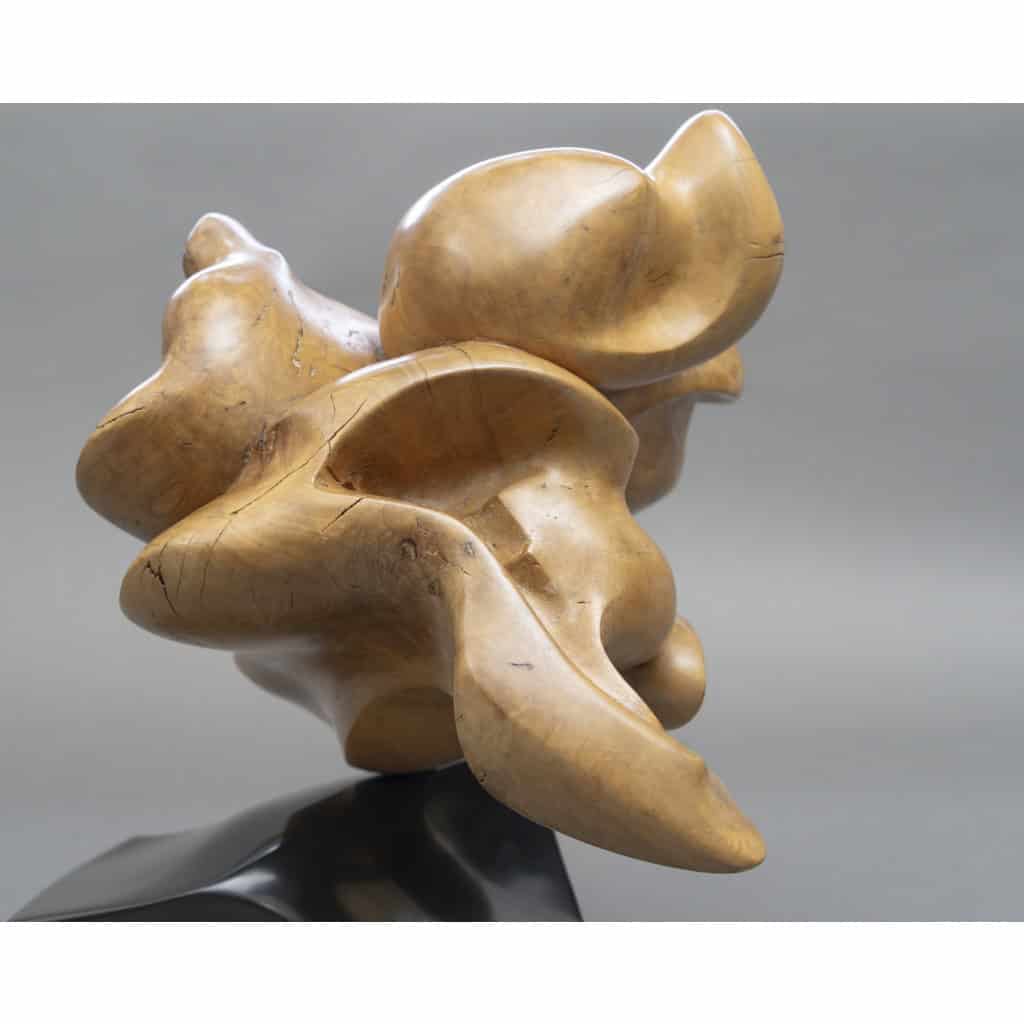Sculpture Abstraite en Bois- Bernard Grassias 7